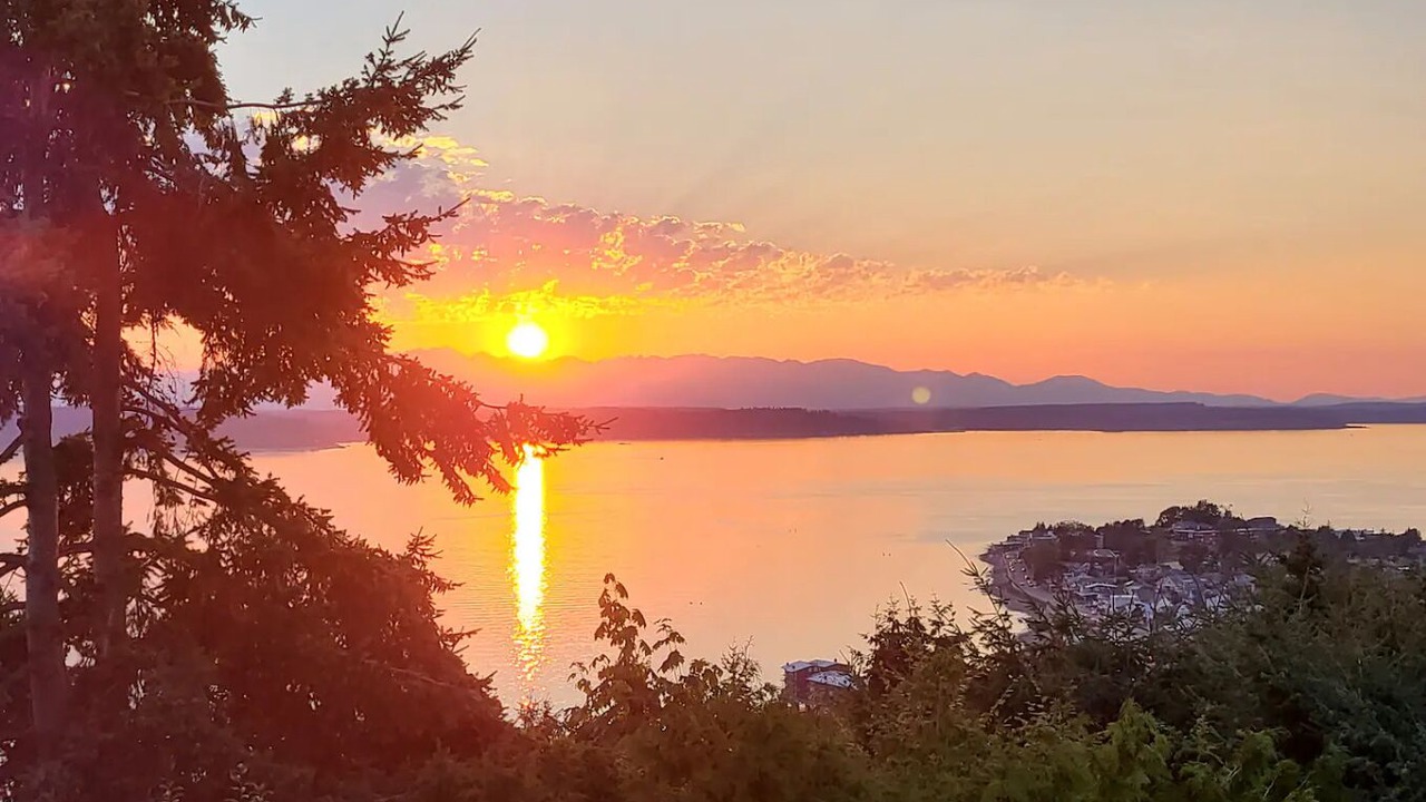 Photo of Others in Alki