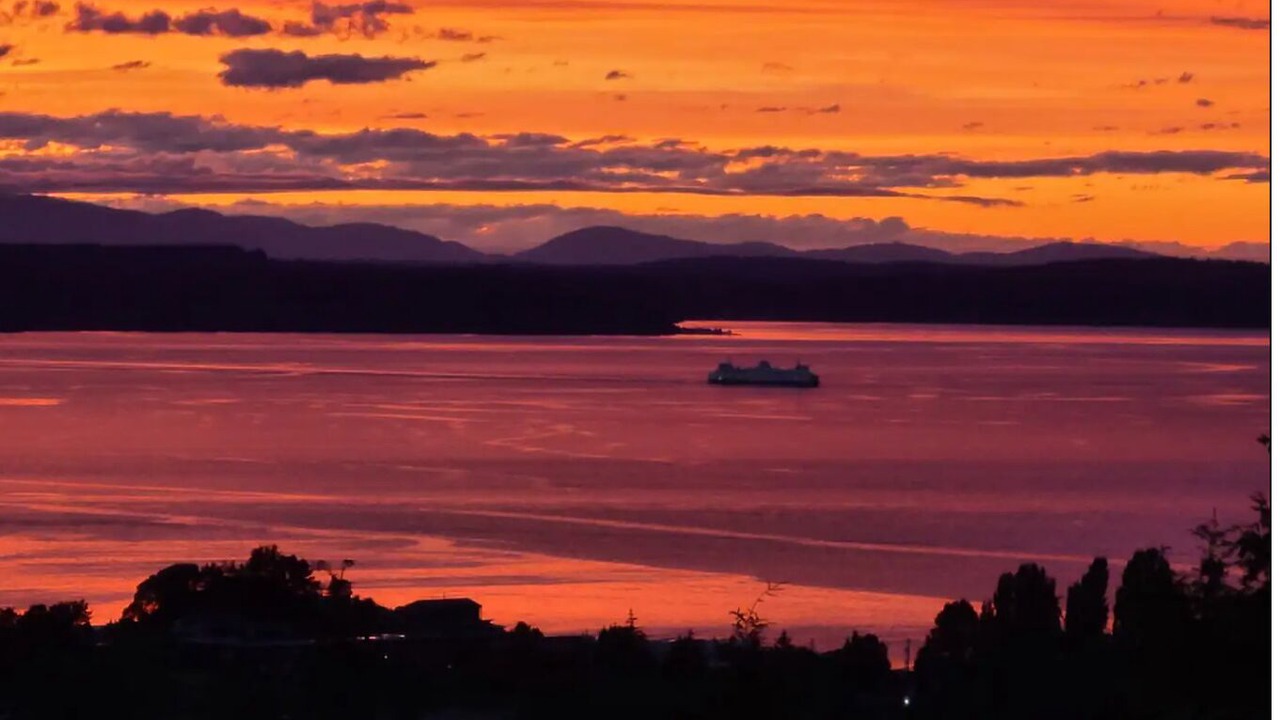 Photo of Others in Alki