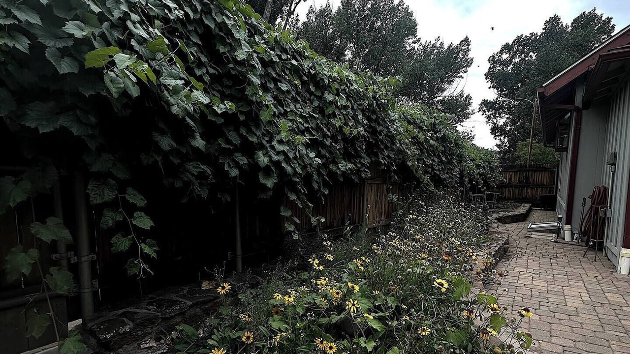 Photo of Outdoor in Southside
