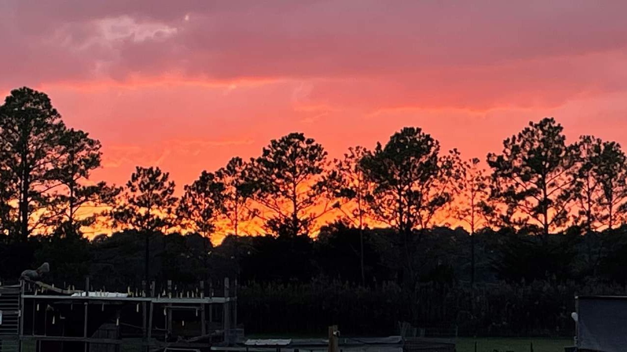 Photo of Others in Moon