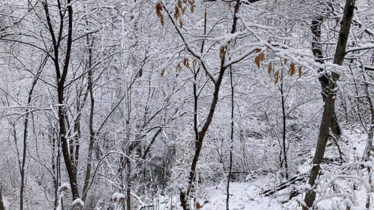 Photo of Others in Moon