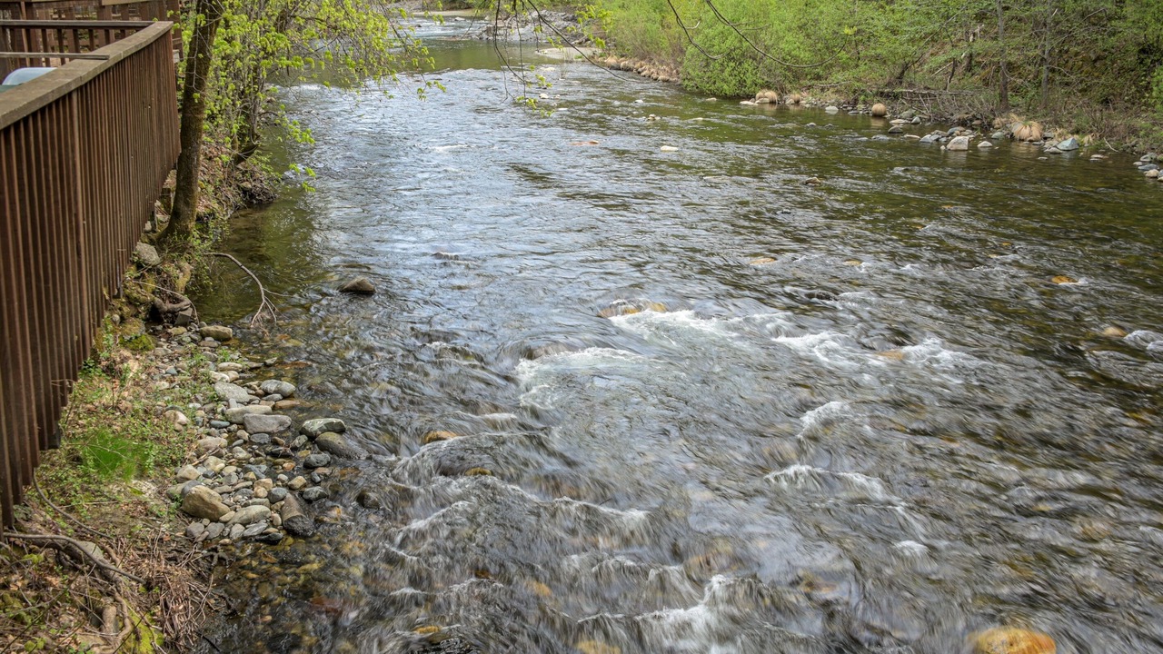 Photo of Others in Castella