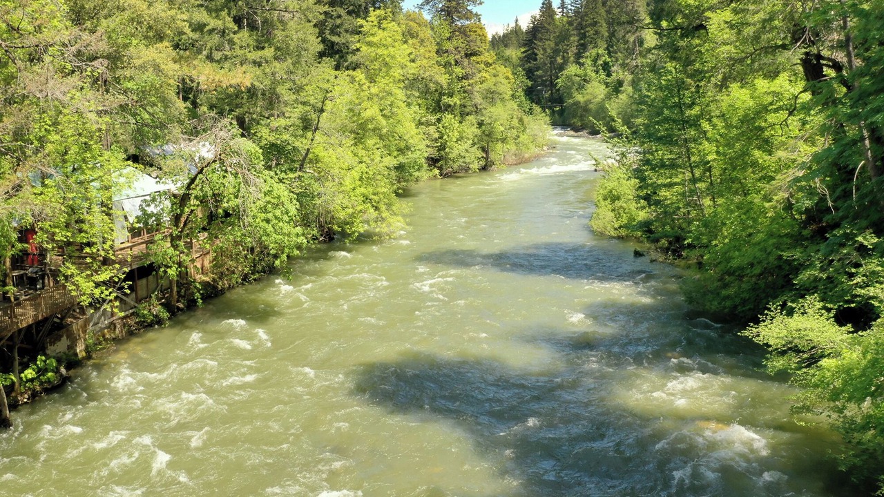 Photo of Others in Castella