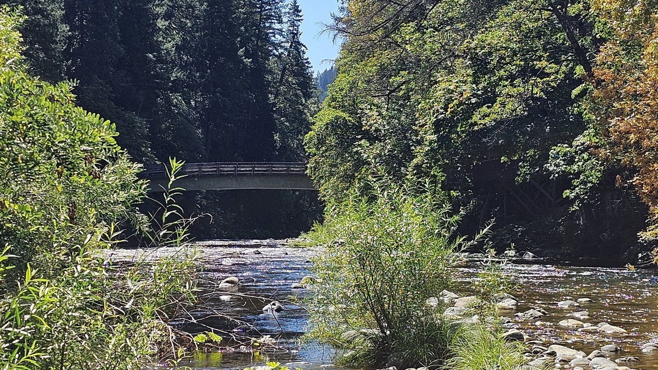 Photo of Others in Castella