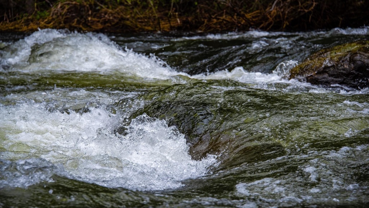 Photo of Others in Castella