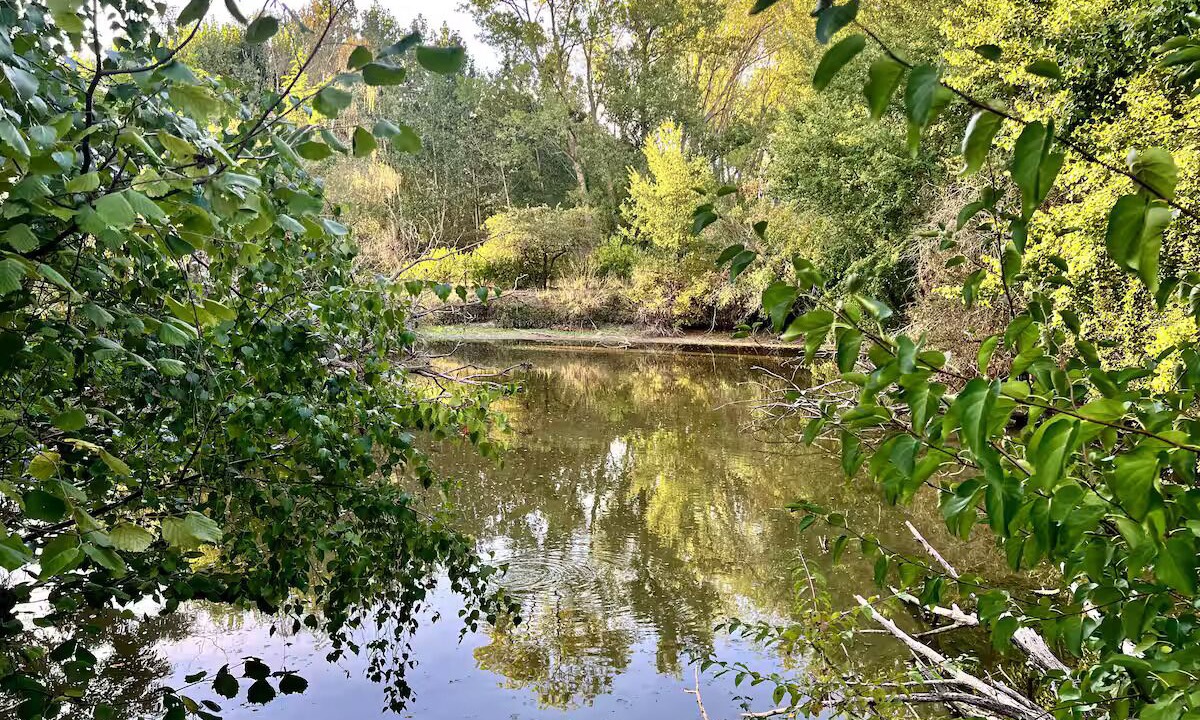 Photo of Others in Loire-Authion
