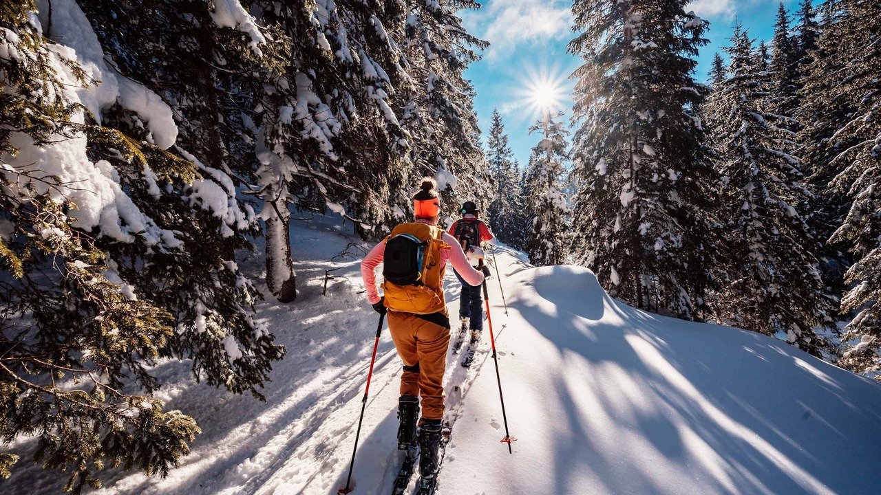 Photo of Others in Fiddler Lake Resort