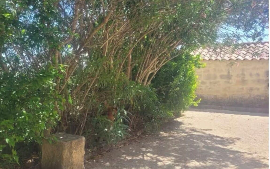 Photo of Outdoor in Sagries
