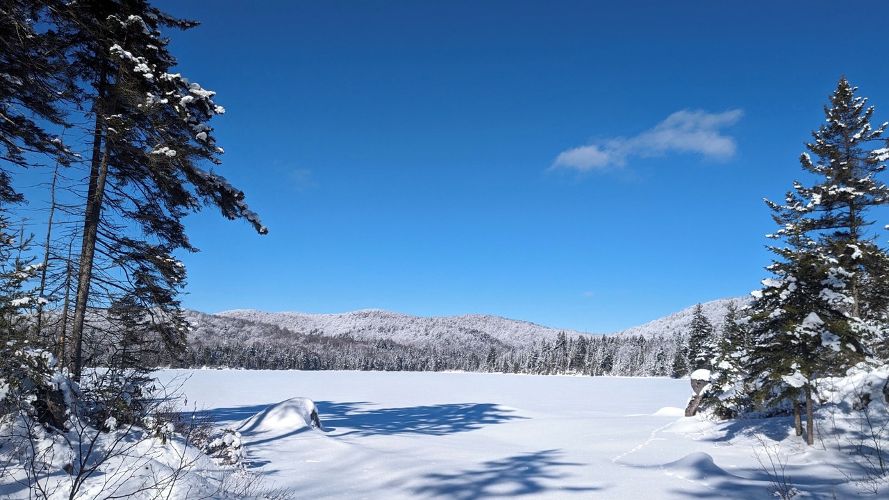 Photo of Others in Saint-Faustin-Lac-Carre