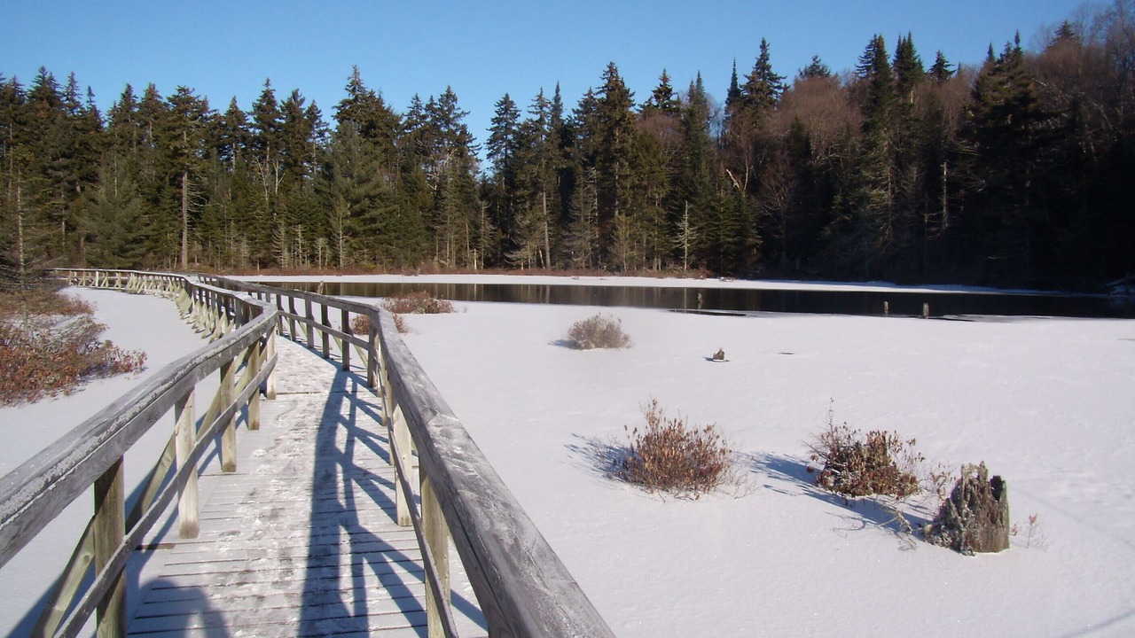 Photo of Others in Saint-Faustin-Lac-Carre
