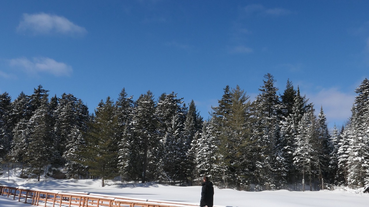 Photo of Others in Saint-Faustin-Lac-Carre