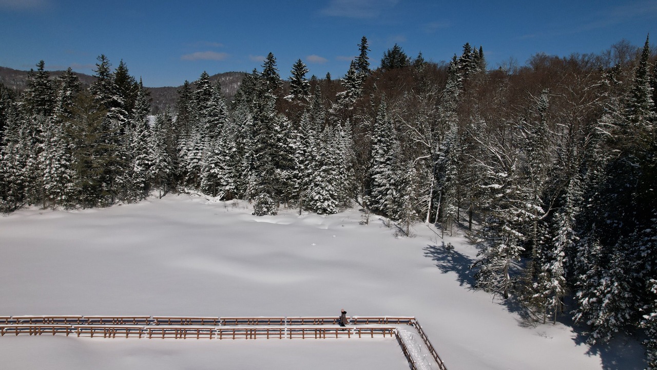 Photo of Others in Saint-Faustin-Lac-Carre