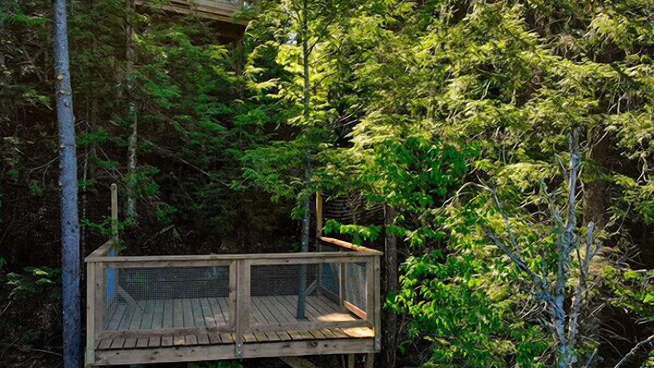 Photo of Outdoor in Saint-Faustin-Lac-Carre
