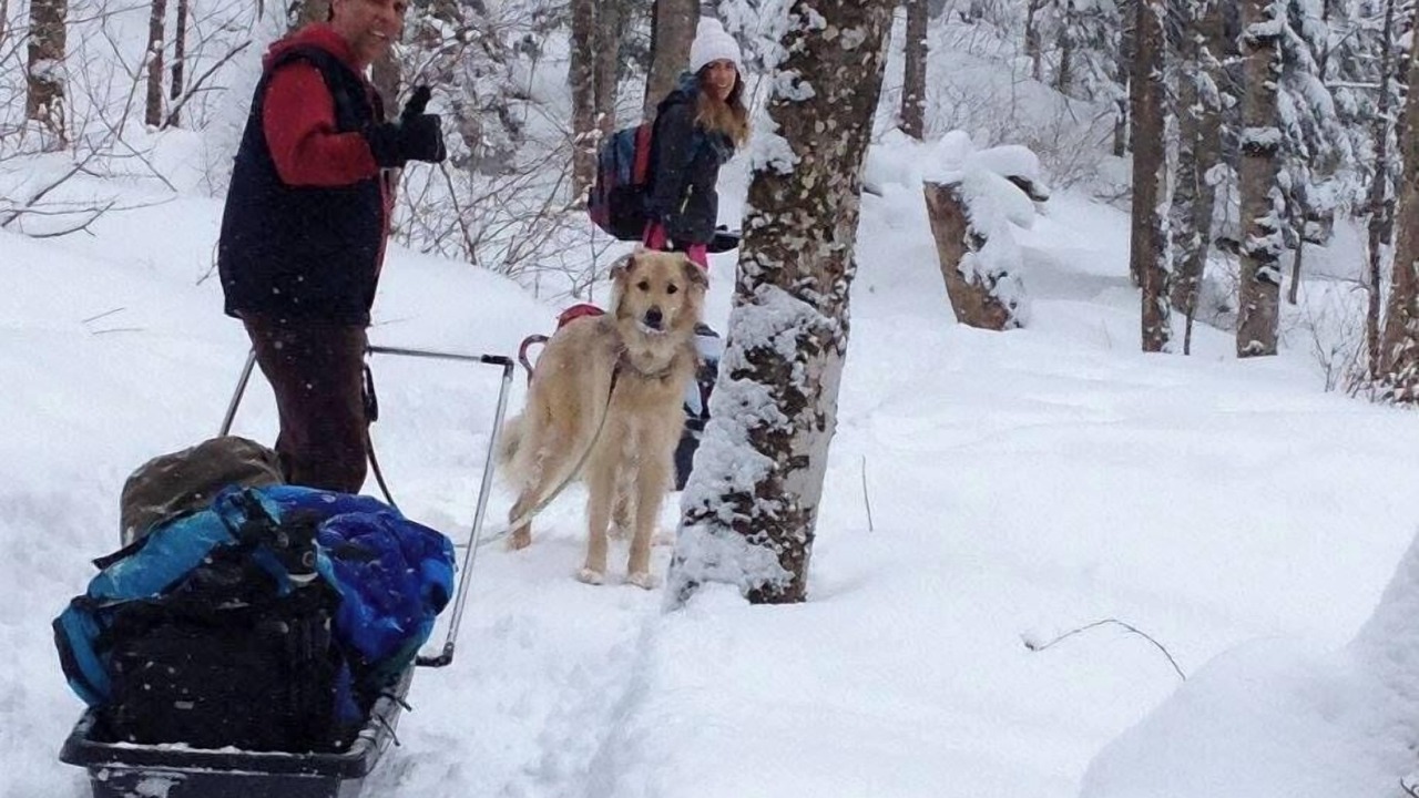 Photo of Others in Saint-Faustin-Lac-Carre