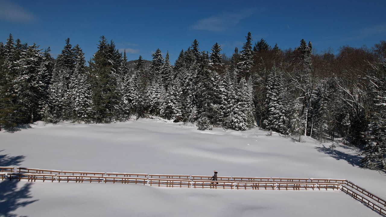 Photo of Others in Saint-Faustin-Lac-Carre