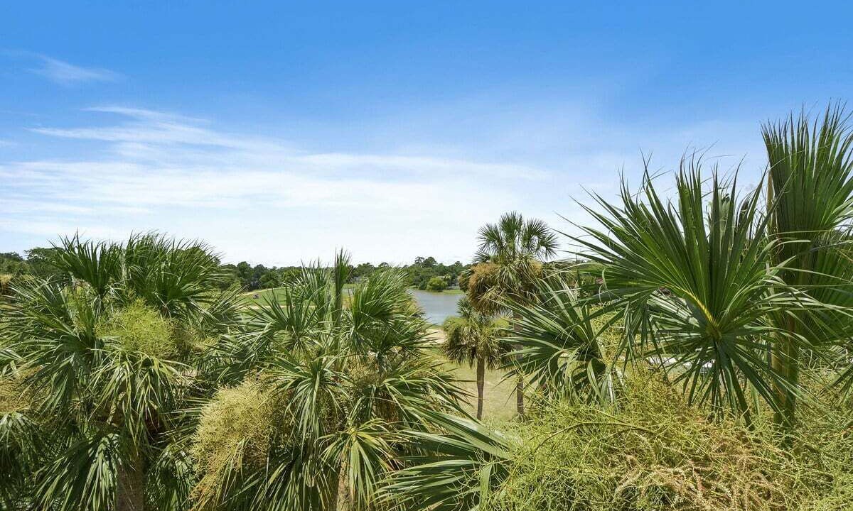 Photo of Others in St. Simons Island