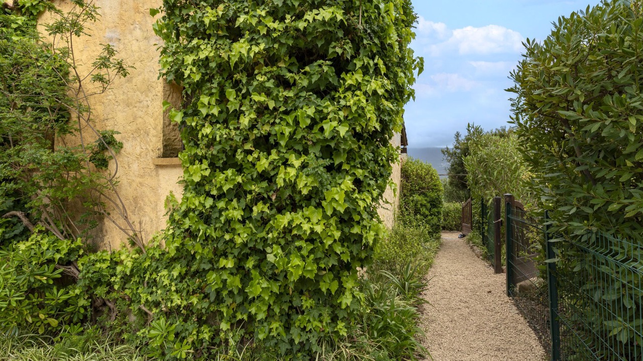 Photo of Others in Tiuccia