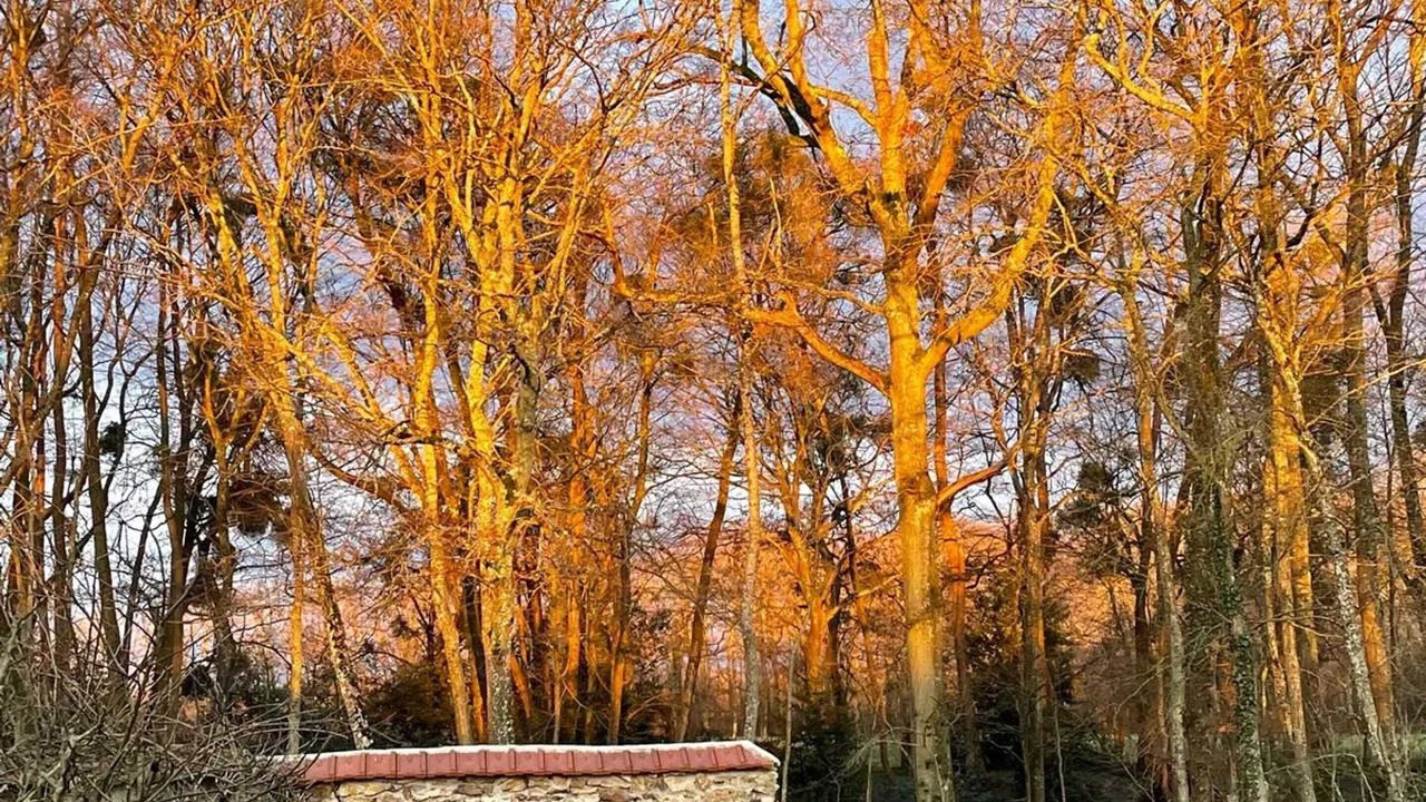 Photo of Outdoor in Hericy