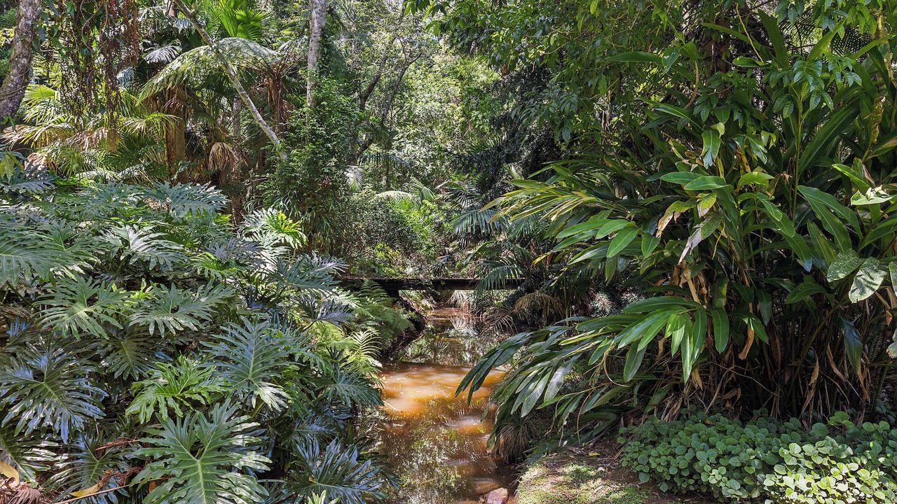 Photo of Others in Holgate