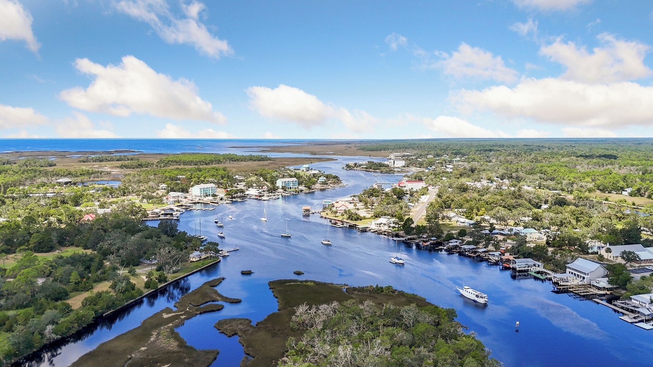 Photo of Others in Steinhatchee