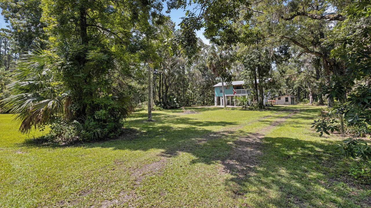Photo of Others in Steinhatchee