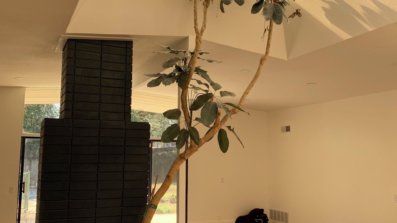 Photo of Others in Elk Grove