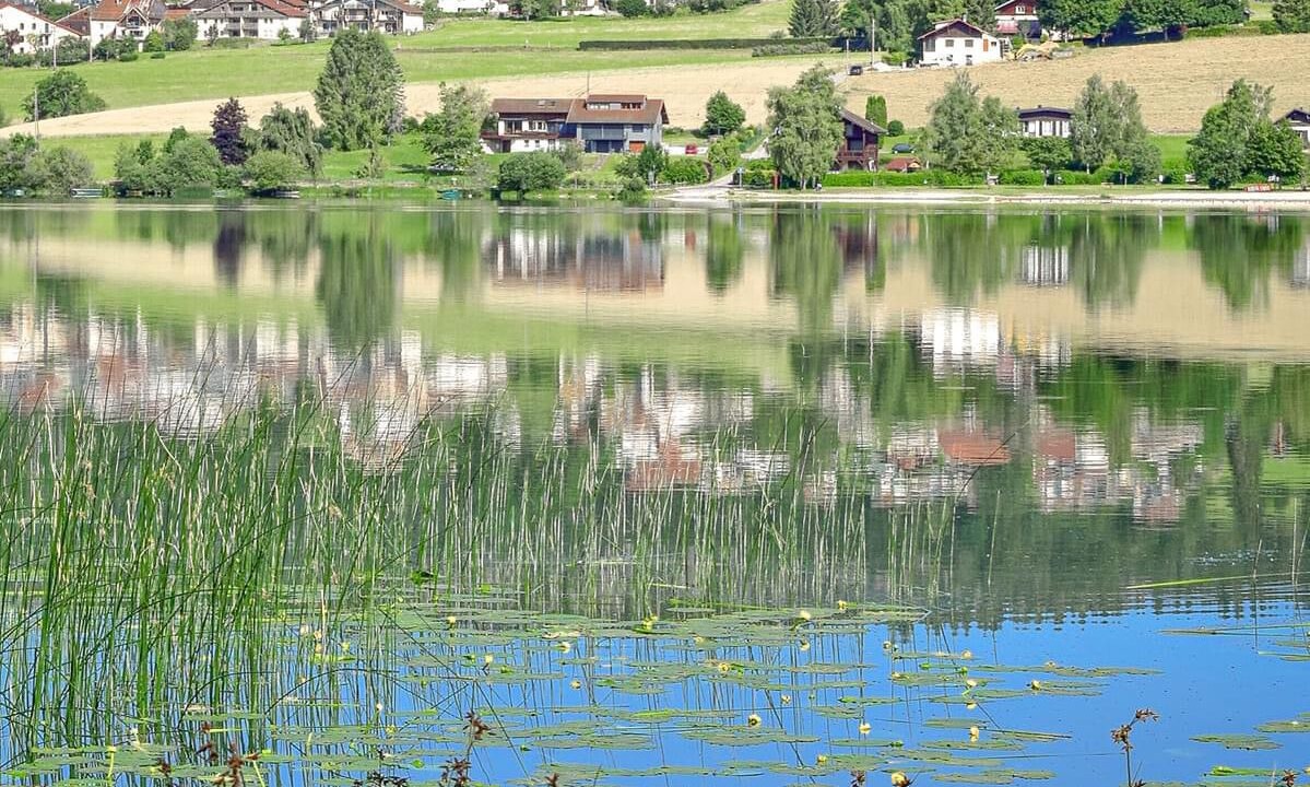 Photo of Others in Les Grangettes