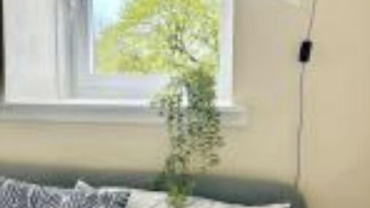 Photo of Bedroom in Dumbarton