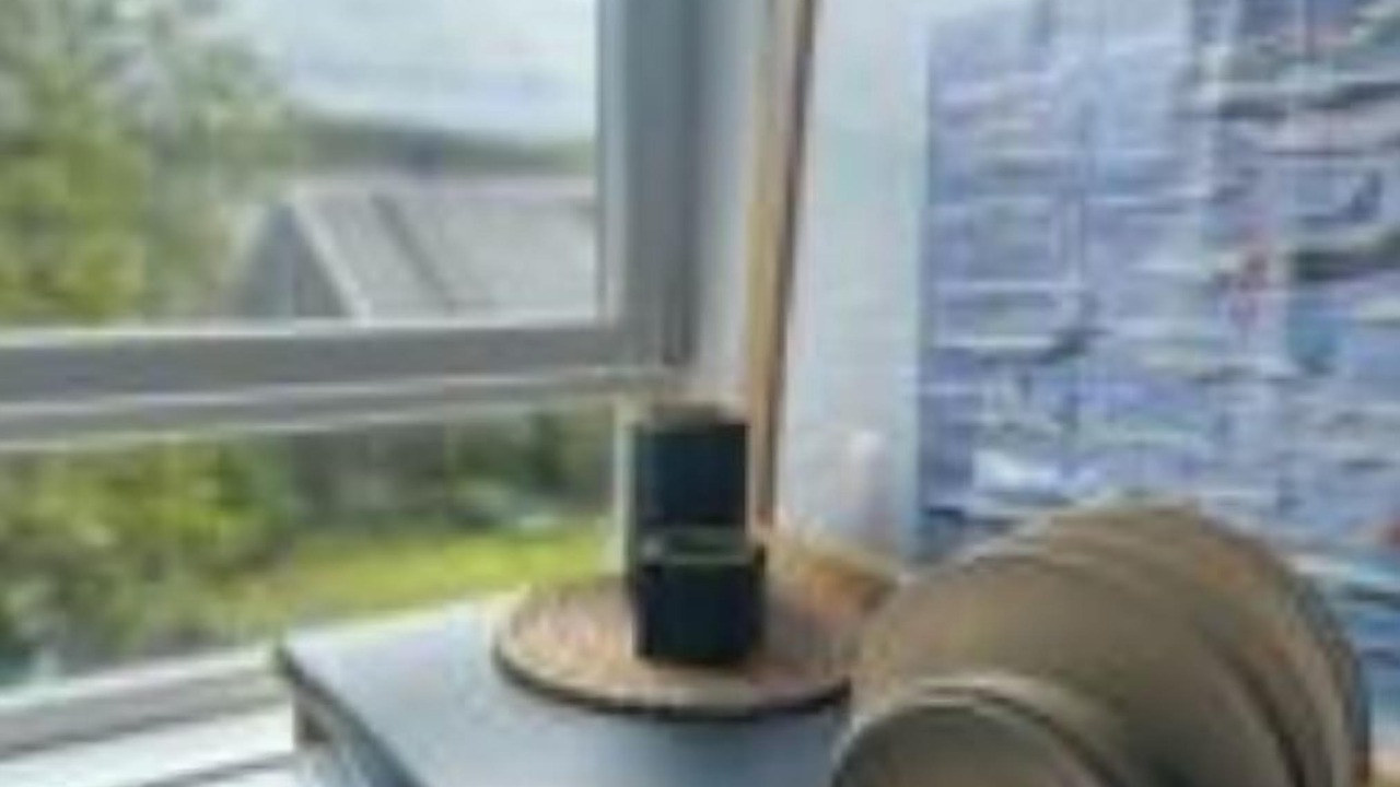 Photo of Others in Dumbarton