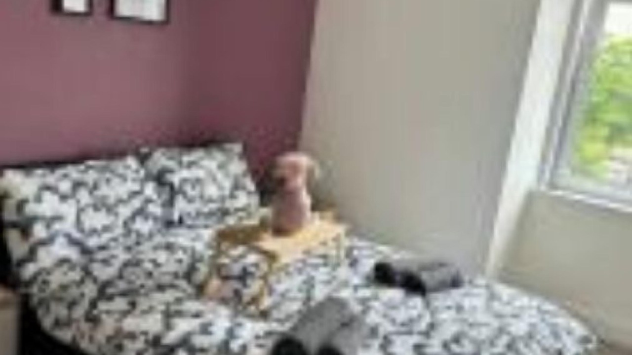 Photo of Bedroom in Dalmuir