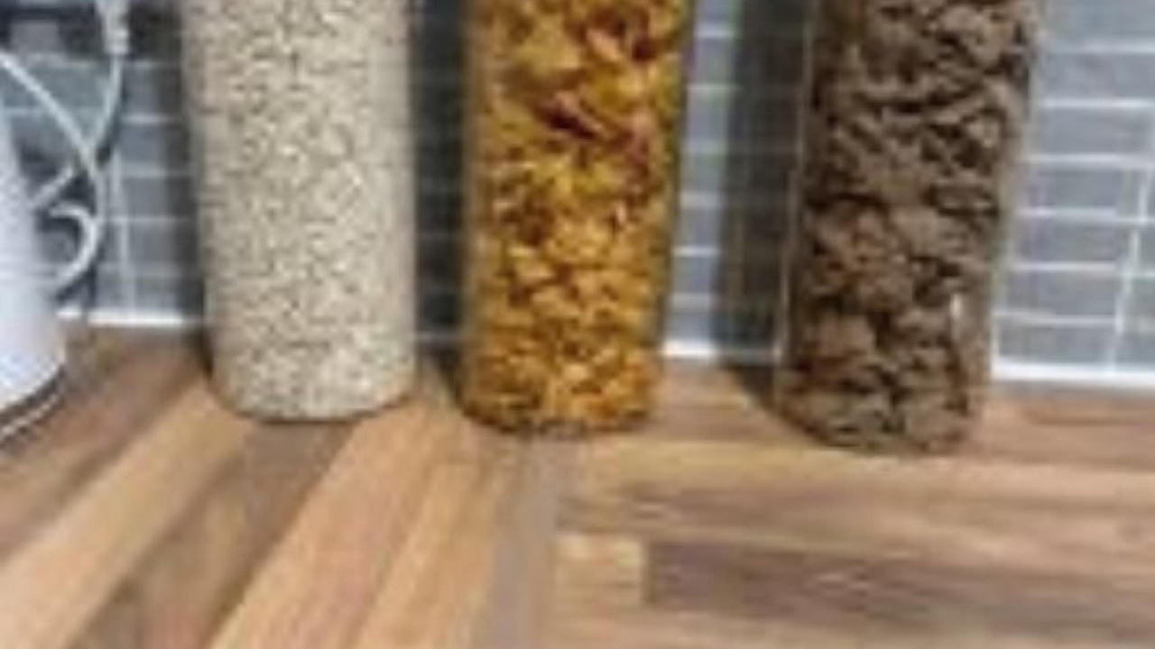 Photo of Others in Dalmuir