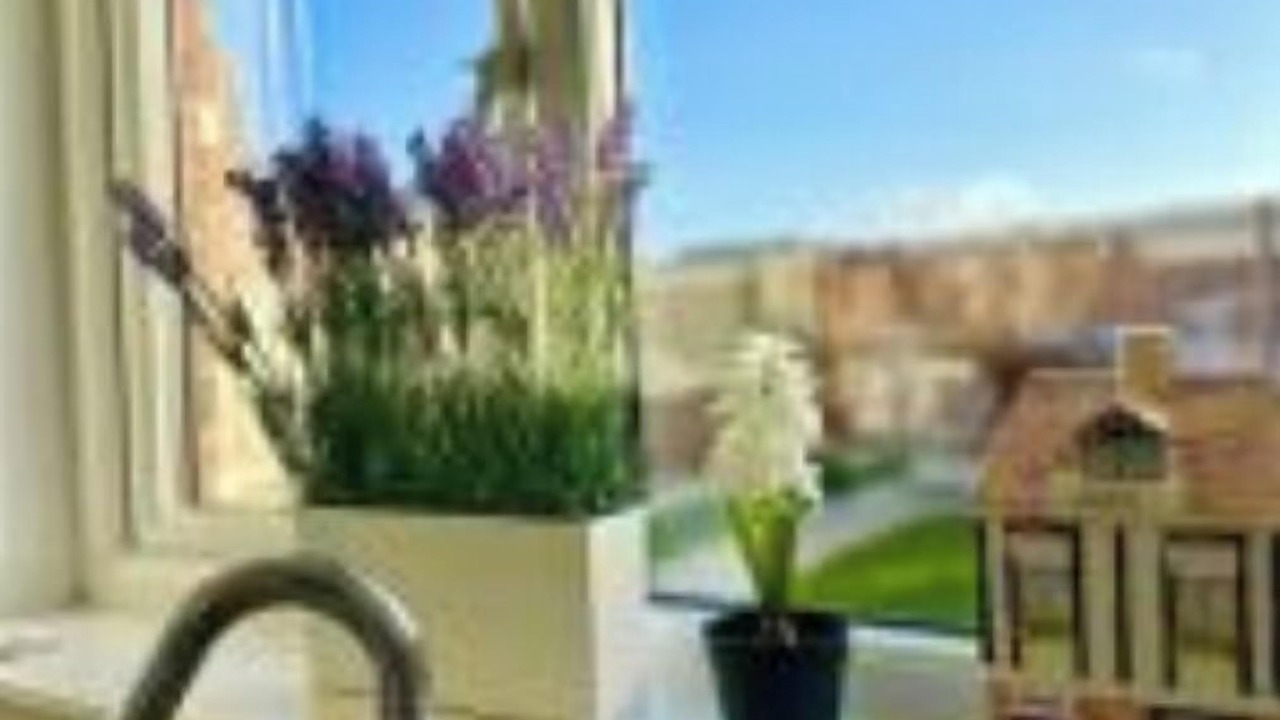 Photo of Others in Clydebank