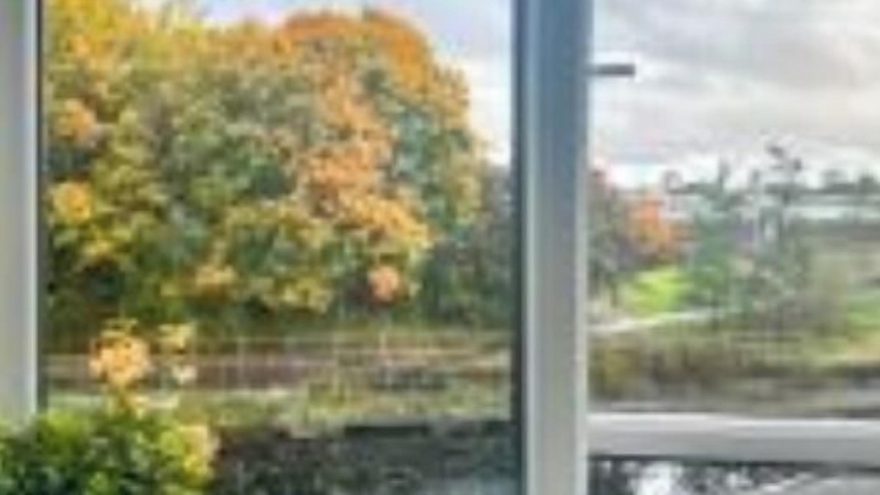 Photo of Others in Clydebank