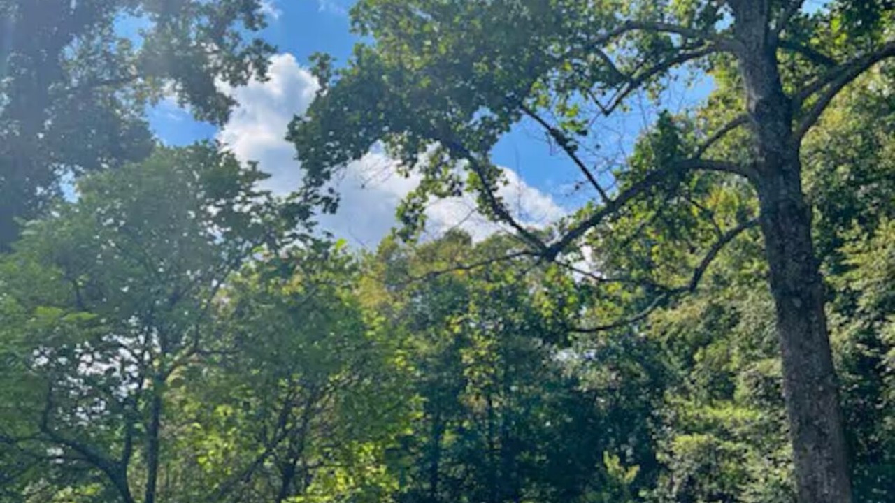 Photo of Outdoor in Clay City