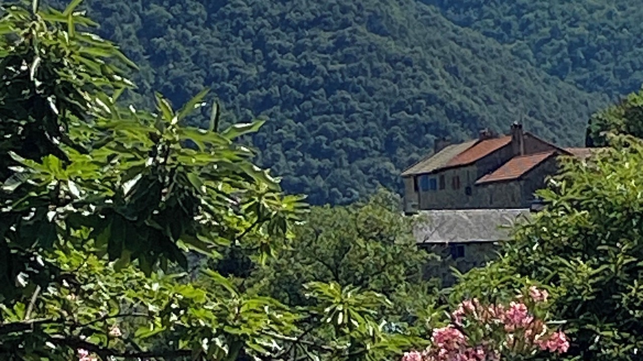 Photo of Others in Pied-de-Borne