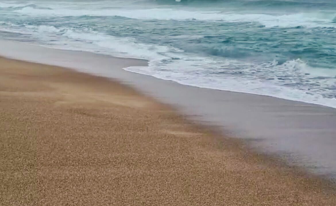 Photo of Others in Budgewoi