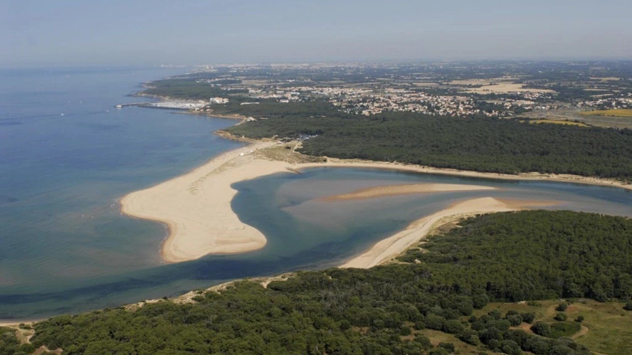 Photo of Others in Talmont-Saint-Hilaire