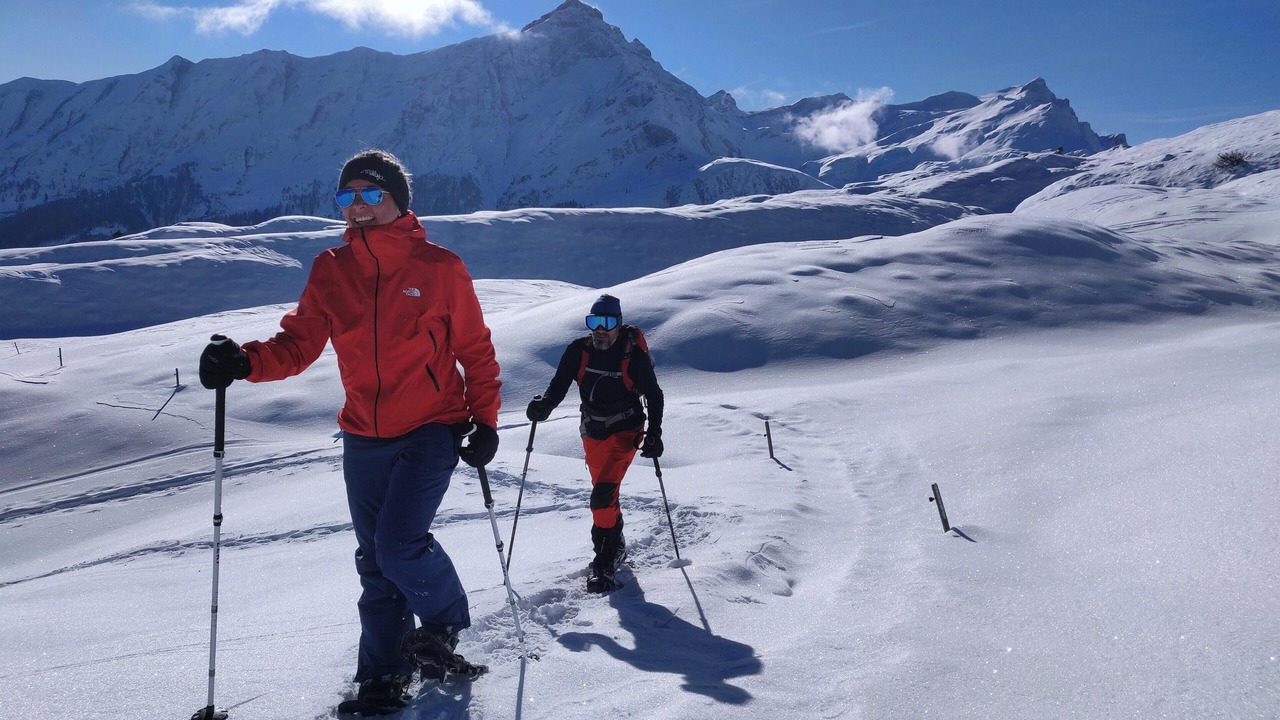 Photo of Others in Brison-Saint-Innocent