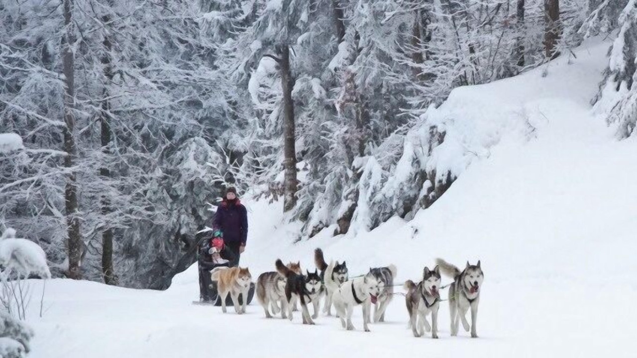 Photo of Others in Brison-Saint-Innocent