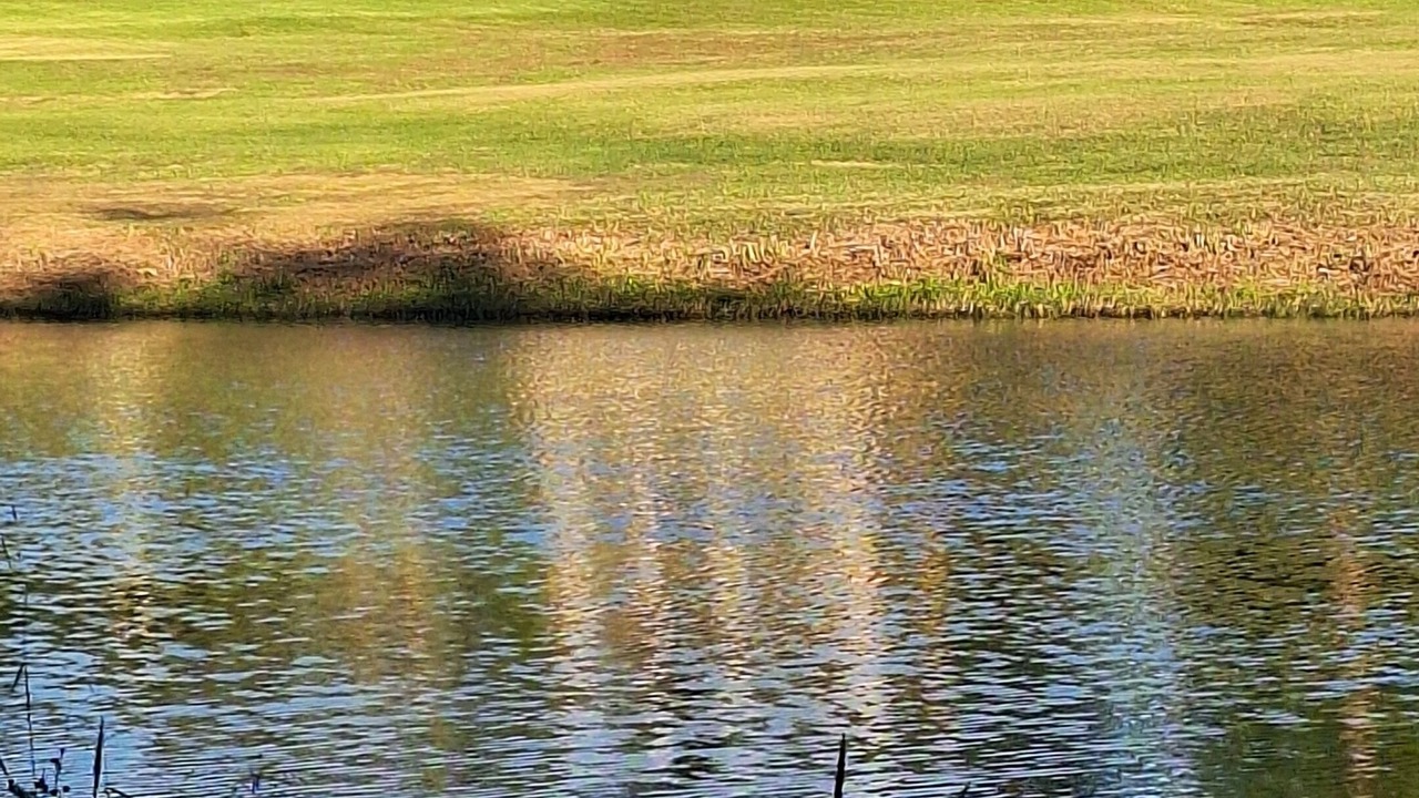 Photo of Outdoor in Tyler