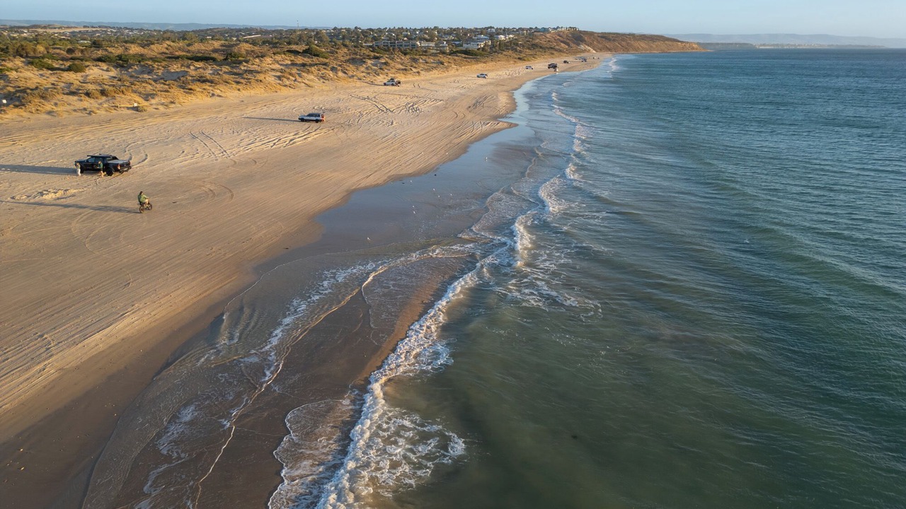 Photo of Others in Moana