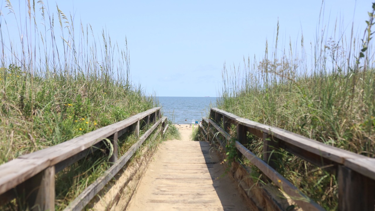 Photo of Others in East Ocean View