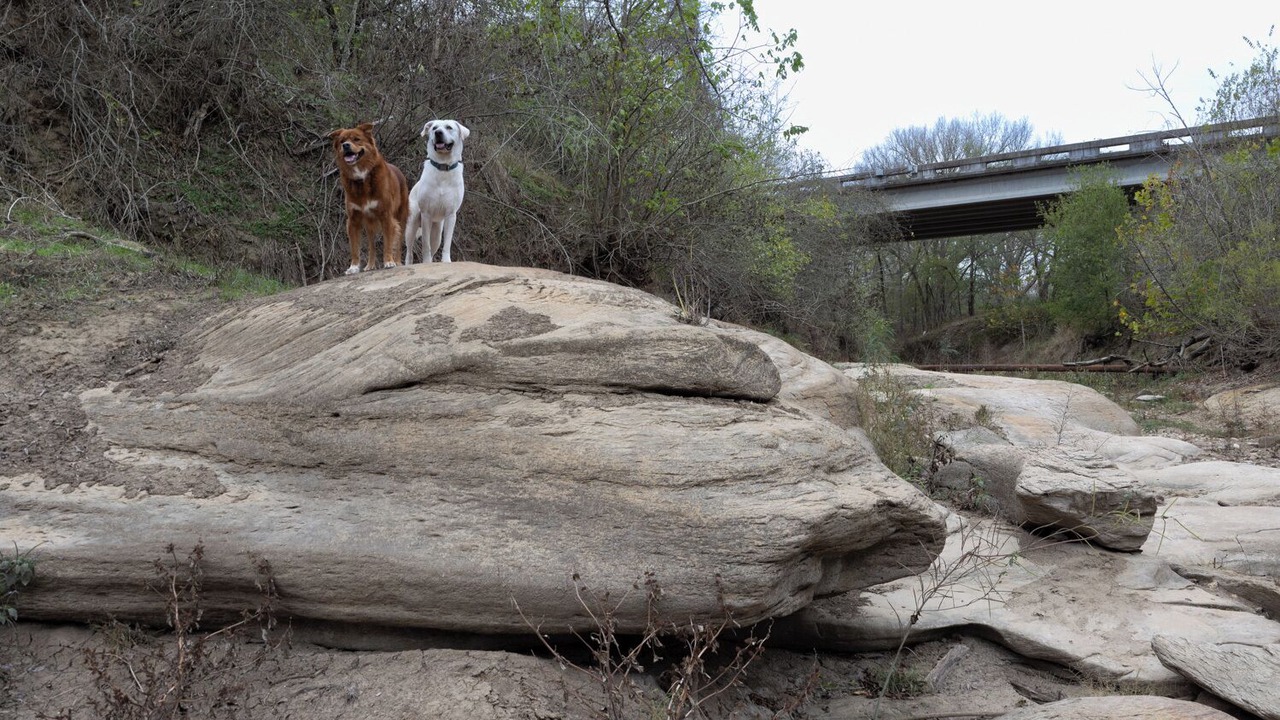 Photo of Others in Cedar Creek