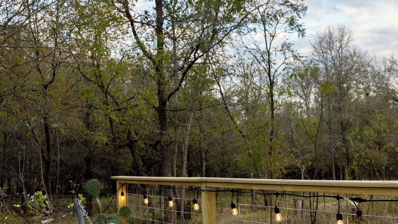 Photo of Outdoor in Cedar Creek