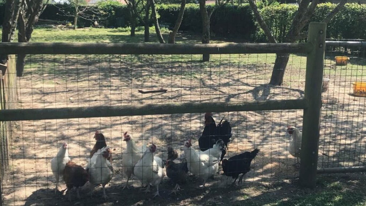 Photo of Others in Pommereval