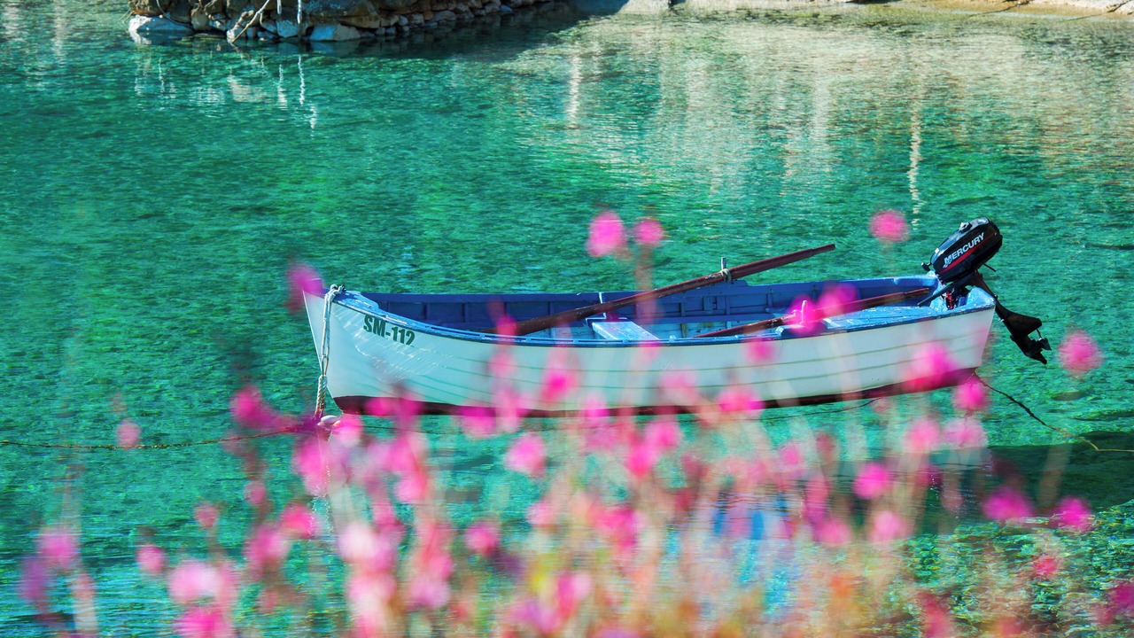 Photo of Others in Milna (Brac)