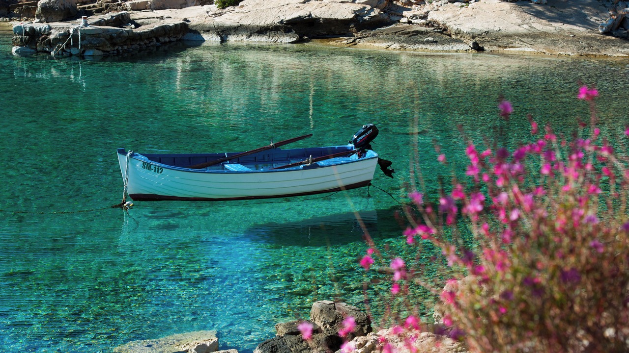 Photo of Others in Milna (Brac)