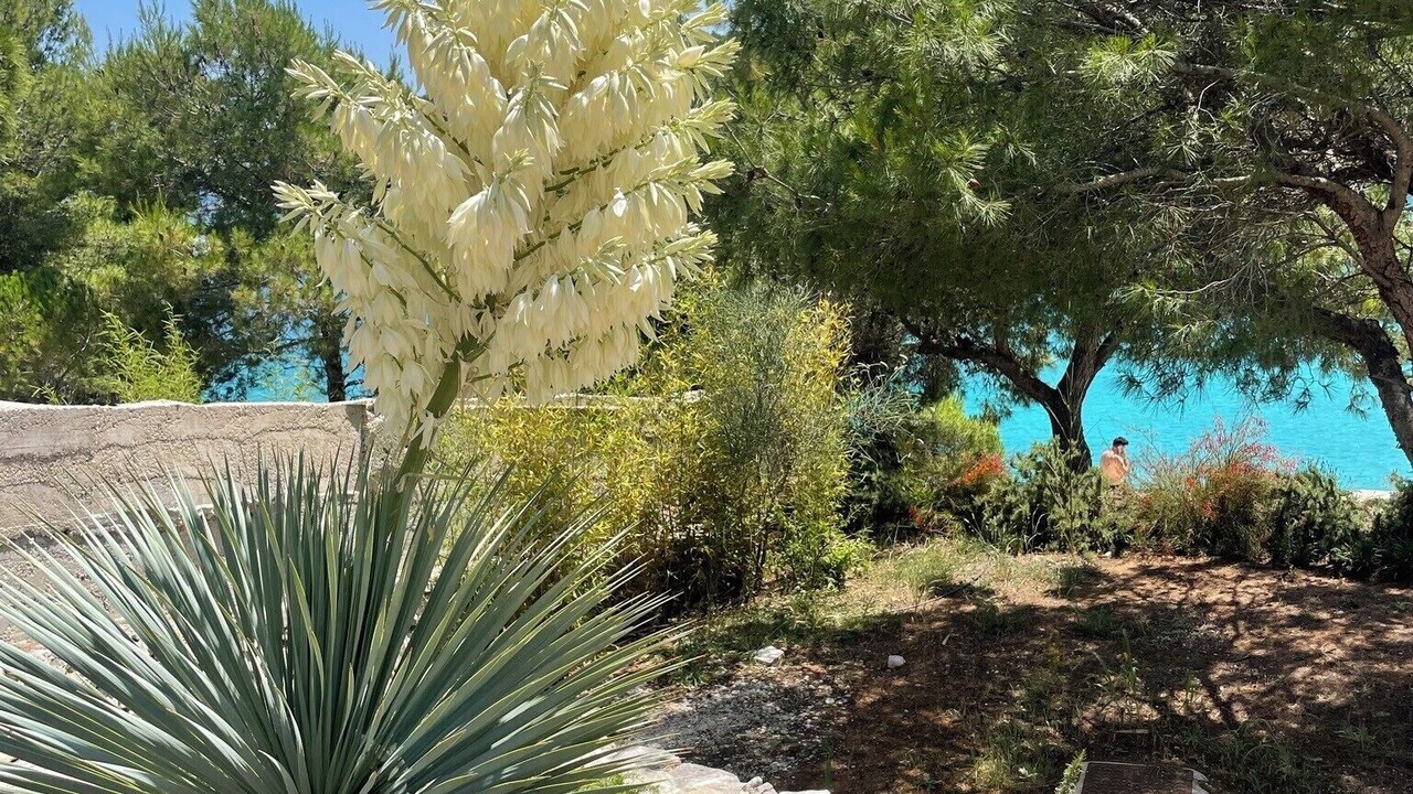Photo of Outdoor in Milna (Brac)