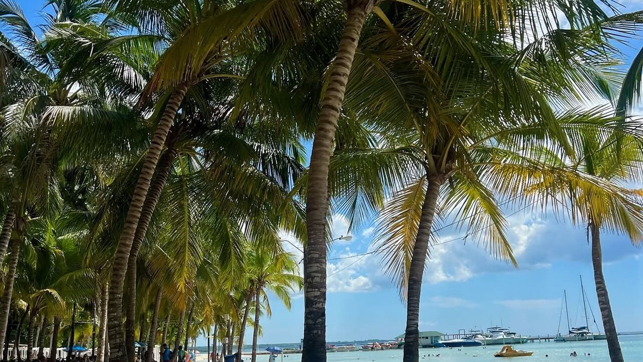 Photo of Others in Reparto Ibarra