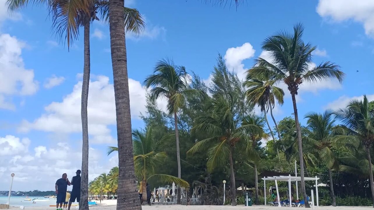 Photo of Others in Reparto Ibarra